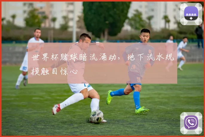 世界杯赌球暗流涌动，地下流水规模触目惊心