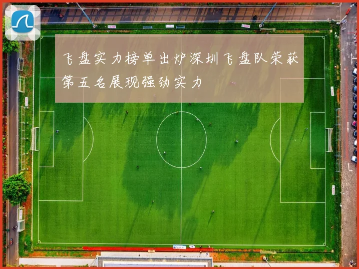 飞盘实力榜单出炉深圳飞盘队荣获第五名展现强劲实力