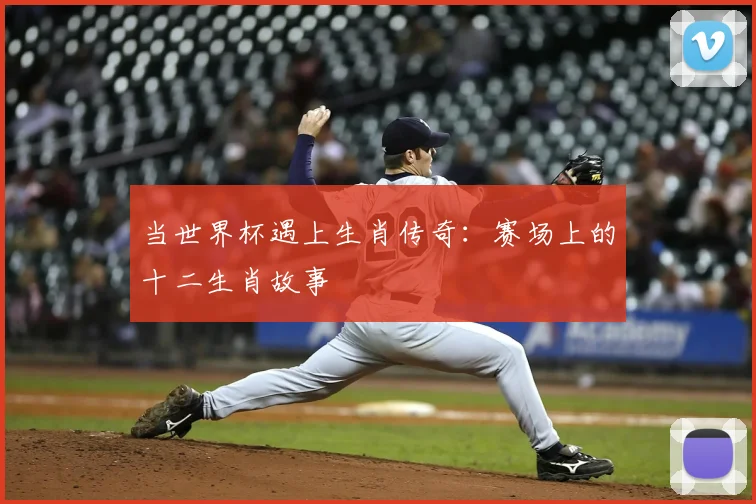 当世界杯遇上生肖传奇：赛场上的十二生肖故事