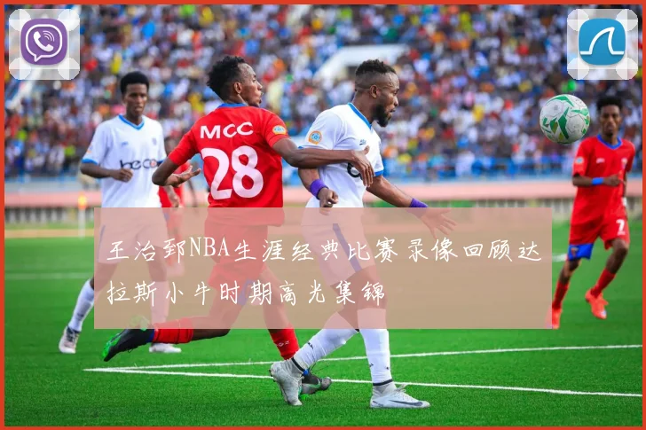 王治郅NBA生涯经典比赛录像回顾达拉斯小牛时期高光集锦