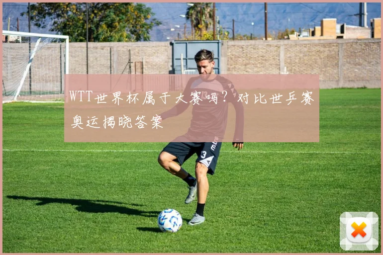 WTT世界杯属于大赛吗?对比世乒赛奥运揭晓答案