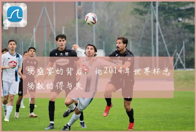 场盛宴的背后:论2014年世界杯总场数的得与失