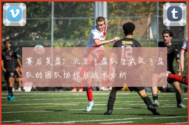 赛后复盘：北京飞盘队与武汉飞盘队的团队协作与战术分析