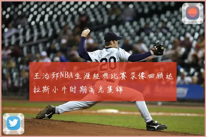 王治郅NBA生涯经典比赛录像回顾达拉斯小牛时期高光集锦