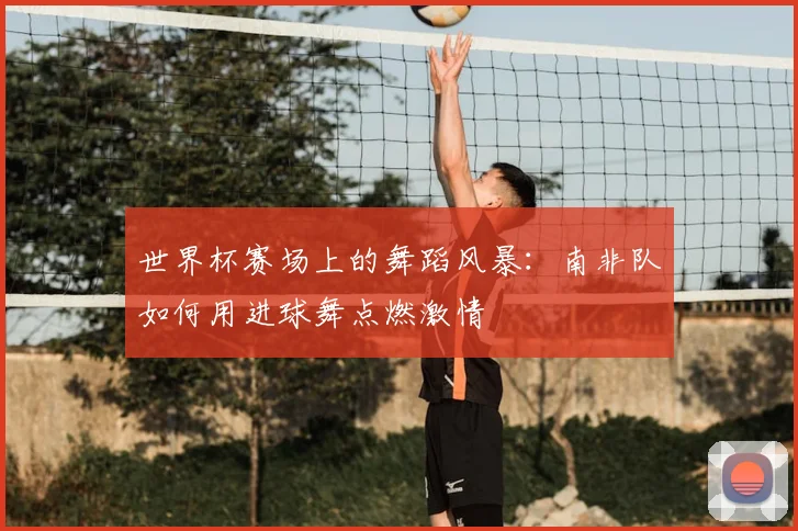 世界杯赛场上的舞蹈风暴：南非队如何用进球舞点燃激情