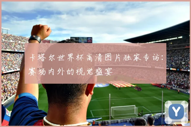 卡塔尔世界杯高清图片独家专访：赛场内外的视觉盛宴