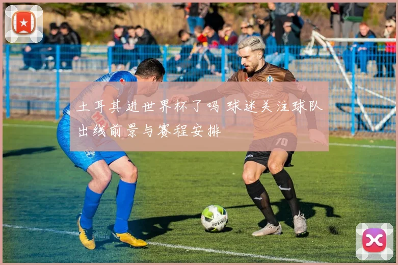 土耳其进世界杯了吗 球迷关注球队出线前景与赛程安排